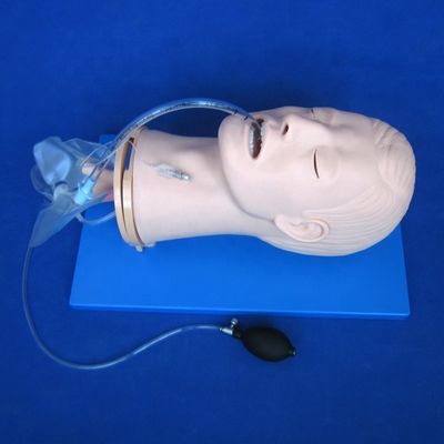 Мультифункциональный манекен обучения эндотрахеальной интубации для управления дыхательными путями