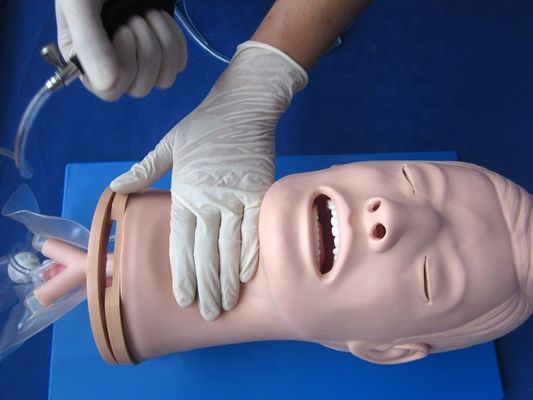 Мультифункциональный манекен обучения эндотрахеальной интубации для управления дыхательными путями