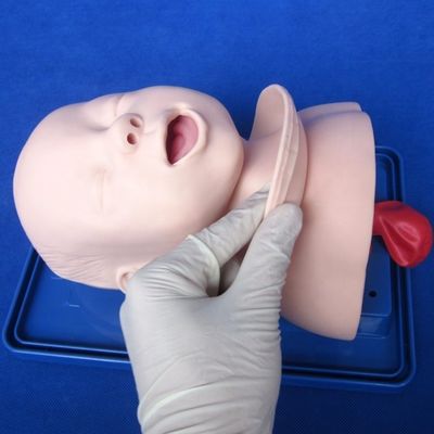 Экономичный педиатрический манекен для живой модели головы младенца и обучения интубации младенцев
