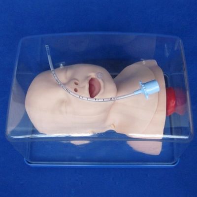 Экономичный педиатрический манекен для живой модели головы младенца и обучения интубации младенцев
