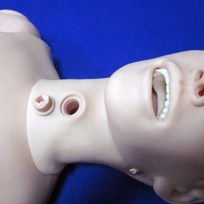 Медицинские науки Базовый тип женский тренировочный симулятор для маникюров с продвинутым ПВХ