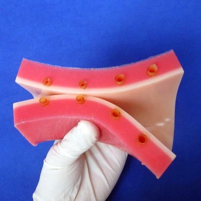 IV Инъекционный тренировочный демонстрационный медицинский учебный симулятор с яркой моделью кожи