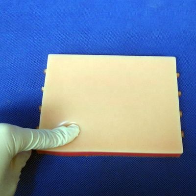 IV Инъекционный тренировочный демонстрационный медицинский учебный симулятор с яркой моделью кожи