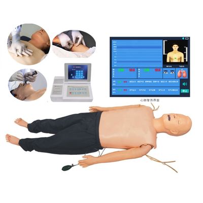 Мультифункциональный тренировочный манекен для медицинских наук CPR AED и практика интубации
