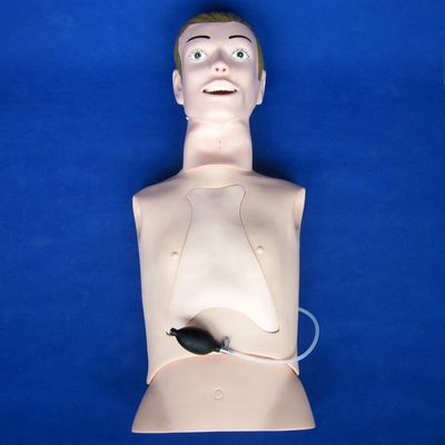 Профессиональный интубационный и всасывающий манекен с функцией ухода за больными