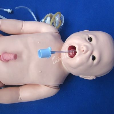 Медицинские науки Неонатальная медицинская помощь Манекен для интубации Аускультация и обучение КПР