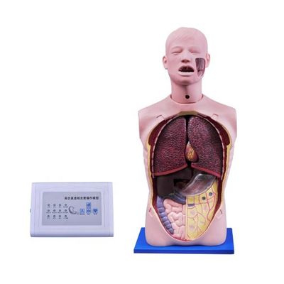 Мультифункциональный медицинский манекен для всасывания и трахеотомии