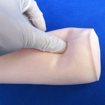 Медицинские науки Экономическая мягкая венекция и IV инъекции Модель преподавания симулятор прокол локтя