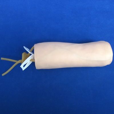 Медицинские науки Экономическая мягкая венекция и IV инъекции Модель преподавания симулятор прокол локтя