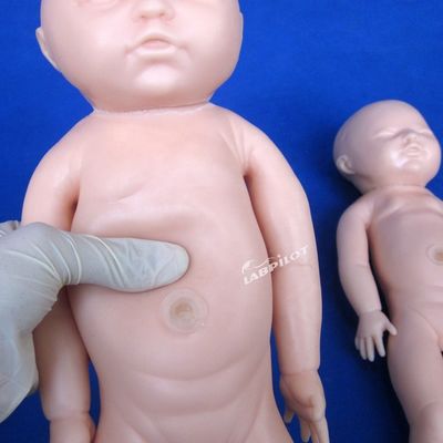 Симулятор родов для медицинской науки