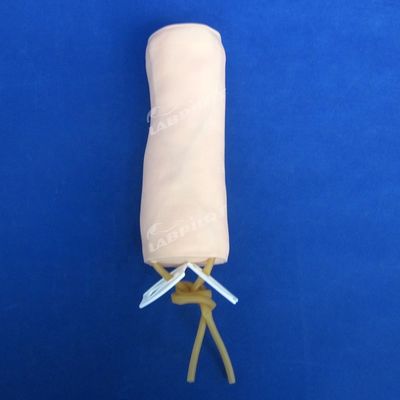 Медицинская наука Венинектура и трансфузия крови