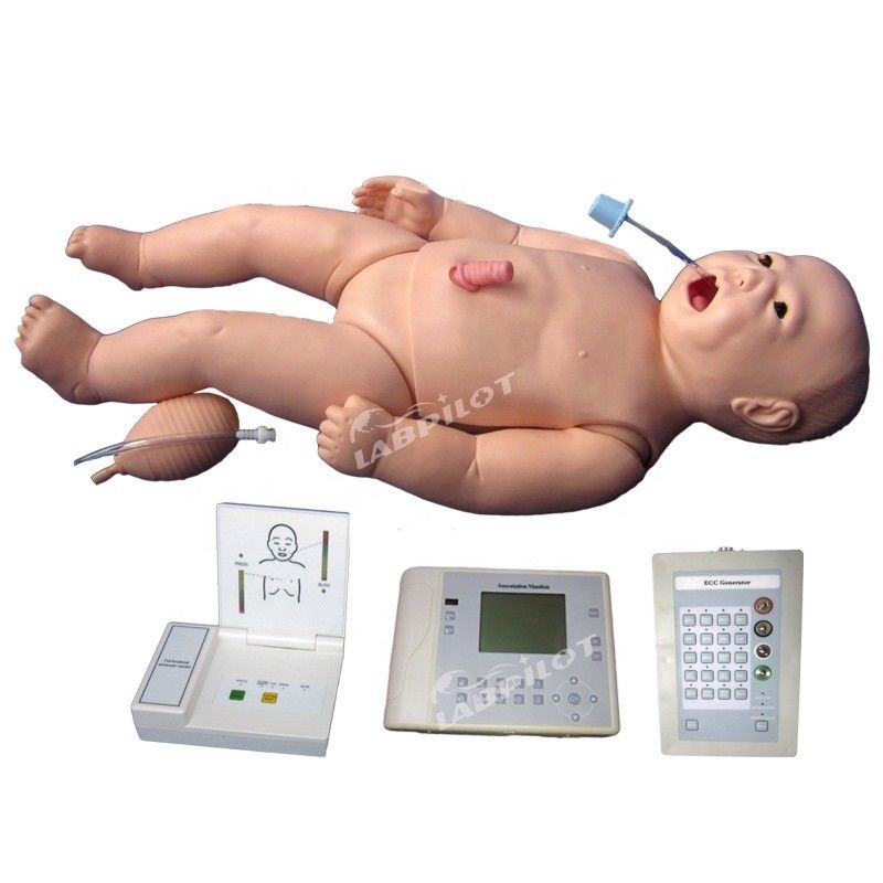 ACLS Неонатальная медицинская помощь Манекен Человеческая жизнь Размер предмета для преподавания медицинских наук
